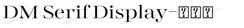 DM Serif Display字体转换